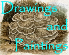 Paintings and Drawings
