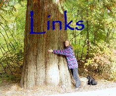 Scratchboard Artwork