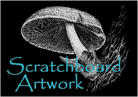 Scratchboard Artwork